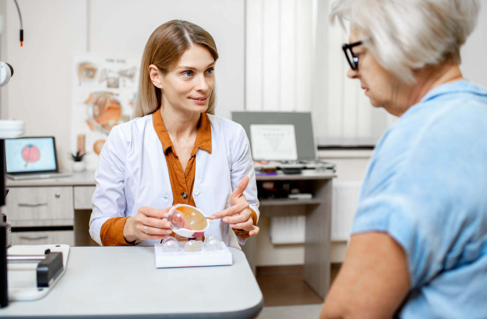An optometrist showing a 3D model of an eye to explain her diagnosis to her patient.